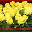 ���� ������� �., ����� - ��������� 8 ����� 2014 � ������ ������ ��������