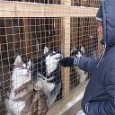 ���� ����, �������� - ��������� 14 ������ 2014 � ������ ���� ����������