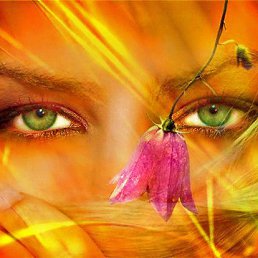 �����, ����, 48 ���