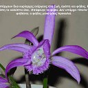 ���� Tatiana, ����������� - ��������� 5 �������� 2013 � ������ ���� ����������