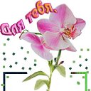���� ����, ��������� - ��������� 24 ������� 2013 � ������ �������