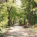 ���� ������, ������������, 85 ��� - ��������� 14 ������� 2013 � ������ ���� ����������