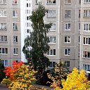 ���� �����, �����, 64 ���� - ��������� 30 ������ 2013 � ������ ��Ψ�