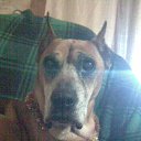 ���� ,����,, �� 105 ������, ������-��-���� - ��������� 16 ������� 2013 � ������ �������