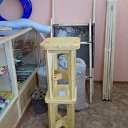 ���� ���, ���������, 68 ��� - ��������� 19 ������ 2014 � ������ ���� �������