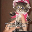 ���� �����, ��������� - ��������� 16 ������ 2013 � ������ ��������