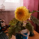 ���� ������, ������ - ��������� 13 ������ 2014