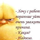  ,  -  12  2013    