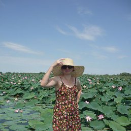 ���� �����, ��������� - ��������� 21 ������ 2013