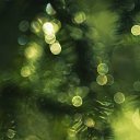 ���� ����, ������, 56 ��� - ��������� 6 ������� 2013 � ������ ������ ��������