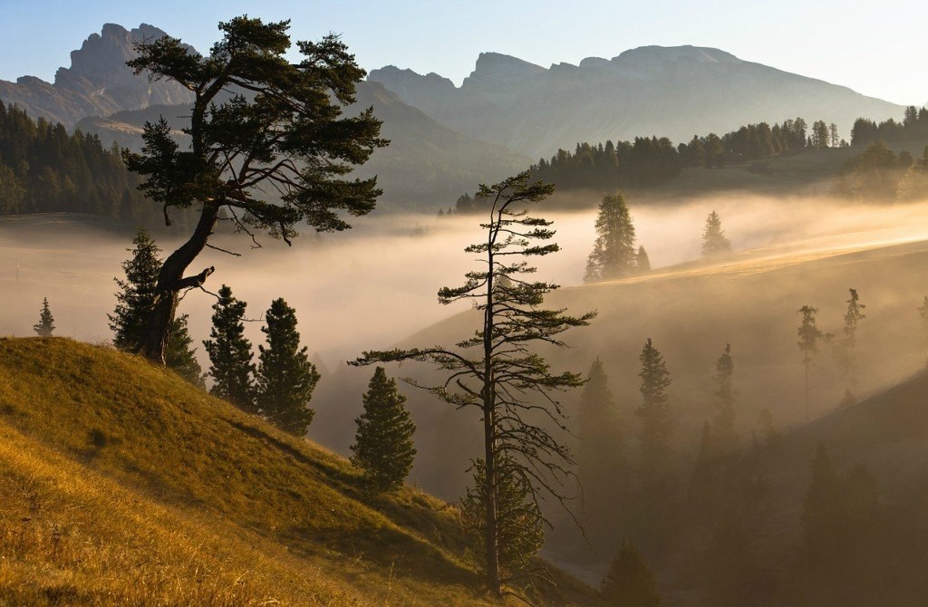 ����������� �����.#nature@travel.blog - 2