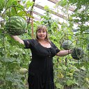 ���� Gala, �����-��������� - ��������� 8 �������� 2013 � ������ ���� ����������