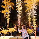 ���� ..����_,����.tatiana, ������� - ��������� 3 ����� 2014 � ������ �Flower show 1 mart.2014.�