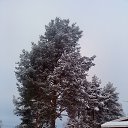 ���� �������, �������, 43 ���� - ��������� 26 ������� 2014 � ������ ���� ����������