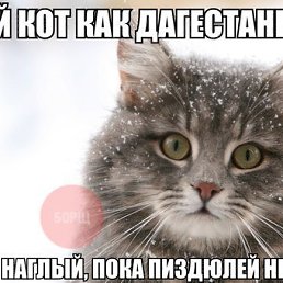 ���� ������, ������, 25 ��� - ��������� 22 ������� 2013