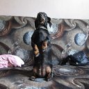 ���� ��������, �����-���������, 58 ��� - ��������� 3 ������ 2014 � ������ ���� ����������