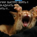 ���� Gints, ���!, 52 ���� - ��������� 21 �������� 2013 � ������ �������