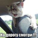 ���� ������(���� �� ����,���� ��� ����, ������ - ��������� 15 ����� 2014 � ������ ������ ��������