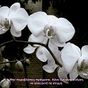 ���� Tatiana, ����������� - ��������� 5 �������� 2013 � ������ ���� ����������