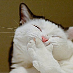 ��������, ��������, 69 ���