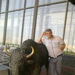 ������, �����������, 52 ����