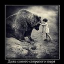 ���� �����, ������������, 41 ��� - ��������� 5 �������� 2013 � ������ ���� ����������
