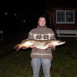 ������ 2014