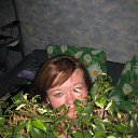 ���� �����, ������, 41 ��� - ��������� 7 ������� 2013 � ������ ���� ����������