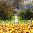  , , 68  -  14  2013    ...