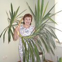 ���� �������, �������� - ��������� 25 �������� 2013 � ������ ���� ����������