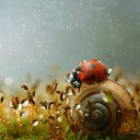 ���� ,����,, �� 105 ������, ������-��-���� - ��������� 2 ������� 2014 � ������ ������Ż