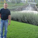 ���� ������, ���������, 54 ���� - ��������� 31 ������� 2013 � ������ ��������� 2013�