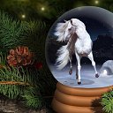 ���� ����, ��������, 58 ��� - ��������� 3 ������� 2013 � ������ ���� ����������