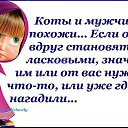 ���� ����������, ����������, 53 ���� - ��������� 12 ������ 2014 � ������ �������
