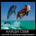���� ������, ������ - ��������� 23 ������� 2013 � ������ �������