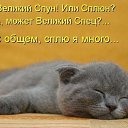 ���� ����, ������, 43 ���� - ��������� 10 ������ 2013 � ������ ���� ����������