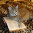 ���� Sichiha, ���������� - ��������� 14 ������� 2013 � ������ ����� ��� ������������