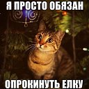���� ����, ����� - ��������� 26 ������� 2013 � ������ �� �����