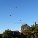 ���� ������, ������� - ��������� 28 ������� 2013 � ������ ������ �� ����� ���� 2013 �
