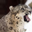 ���� �������, ������, 45 ��� - ��������� 4 ������ 2013 � ������ ���� ����������