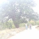 ���� ��������, ������, 62 ���� - ��������� 24 ������� 2013 � ������ ���������������� ����������