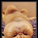 ���� �������, �����-��������� - ��������� 31 ������� 2013 � ������ ���� ����������