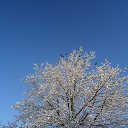  ,  -7 -  20  2014   2014 