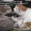 ���� ����������, �����, 33 ���� - ��������� 1 ����� 2014 � ������ ������ ��������