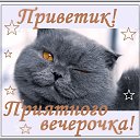 ���� *E*l*e*n*@*, ������� - ��������� 14 ������� 2014 � ������ ������ ��������