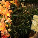 ���� Tim, ��������� - ��������� 25 ������ 2013 � ������ �������