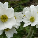  @_, , 64  -  6  2014    