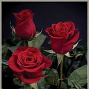 ���� **Markiza*c*250*, ����� - ��������� 6 ������ 2013 � ������ ���� �� ������ ���Ż