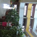 ���� ����, ������ - ��������� 30 ������� 2013 � ������ ������������ ����