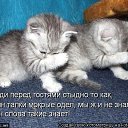 ���� ����, ������ - ��������� 5 ������� 2013 � ������ ���� ����������